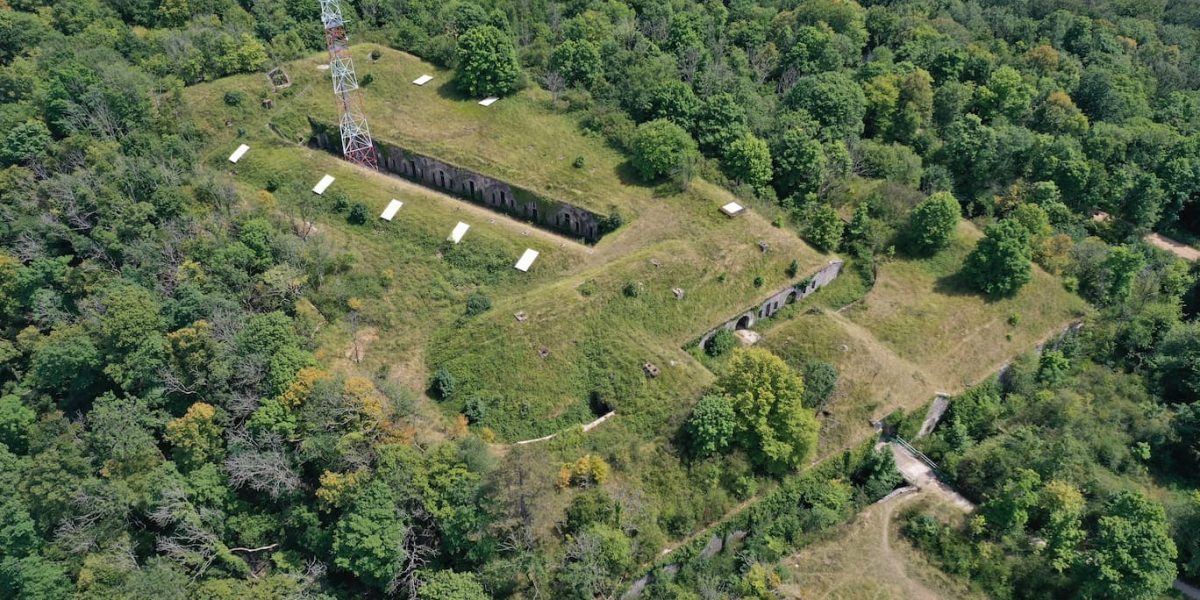Forêts de Chailluz et de Bregille