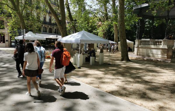 place-des-arts-reunira-trente-exposants-ce-dimanche-a-granvelle-photo-er-1630504283